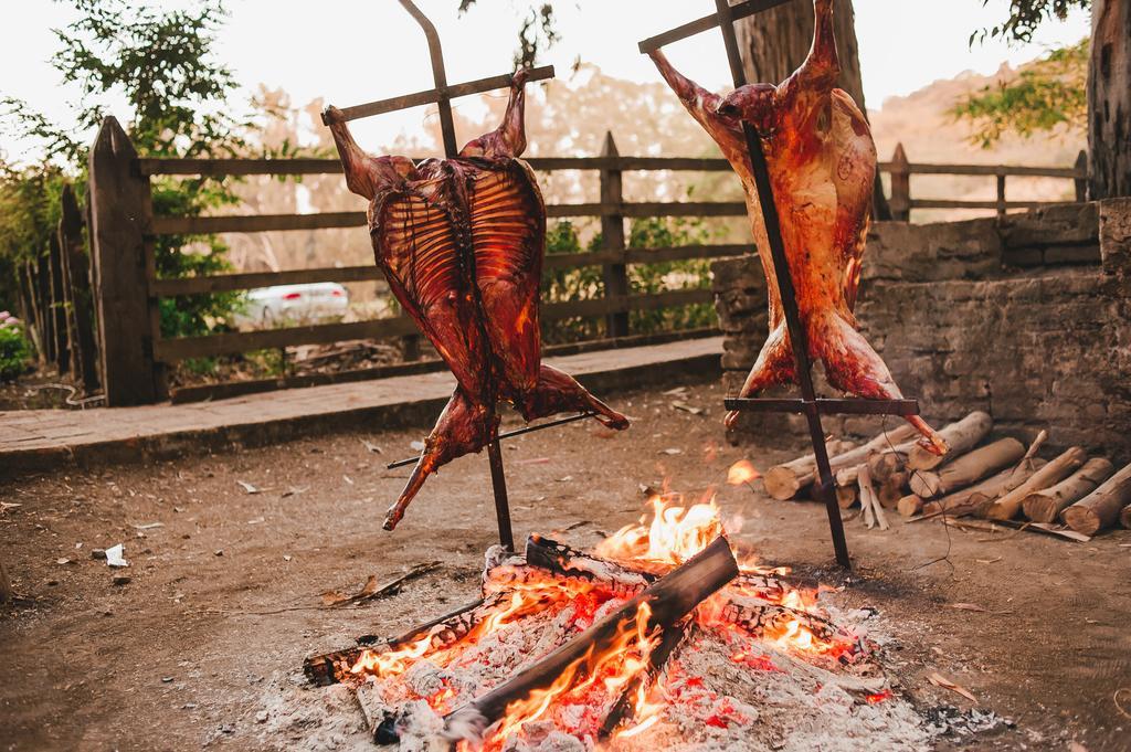 Hacienda Los Lingues Chile Valle De Colchagua Екстер'єр фото