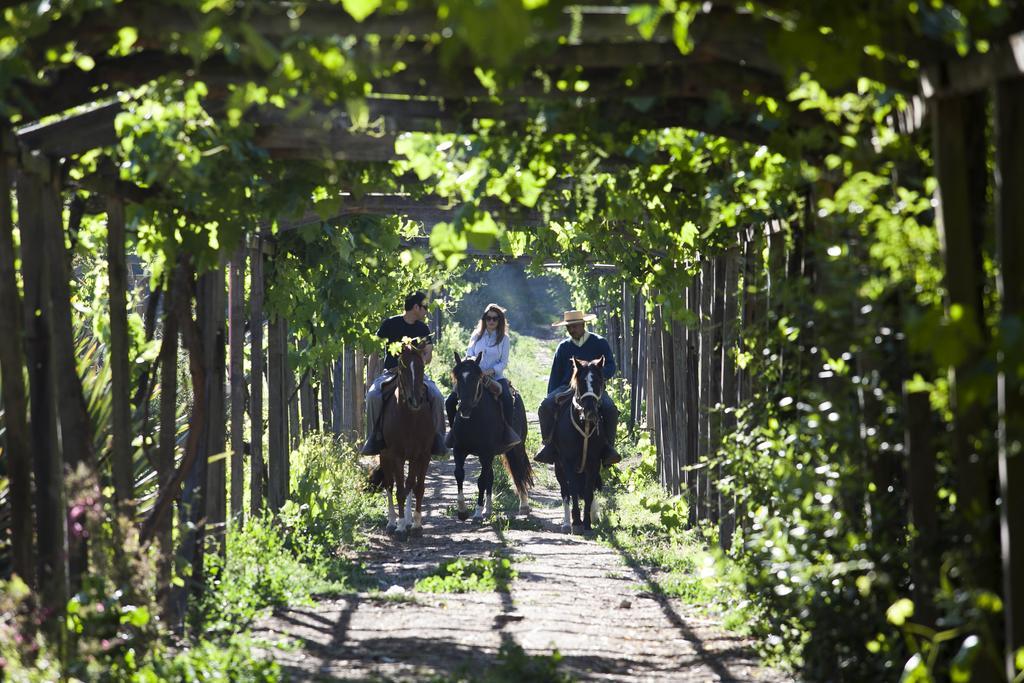 Hacienda Los Lingues Chile Valle De Colchagua Екстер'єр фото