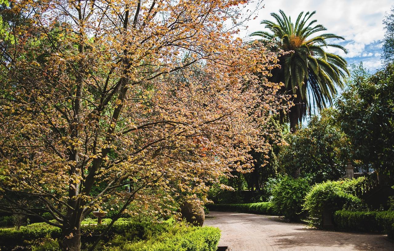 Hacienda Los Lingues Chile Valle De Colchagua Екстер'єр фото