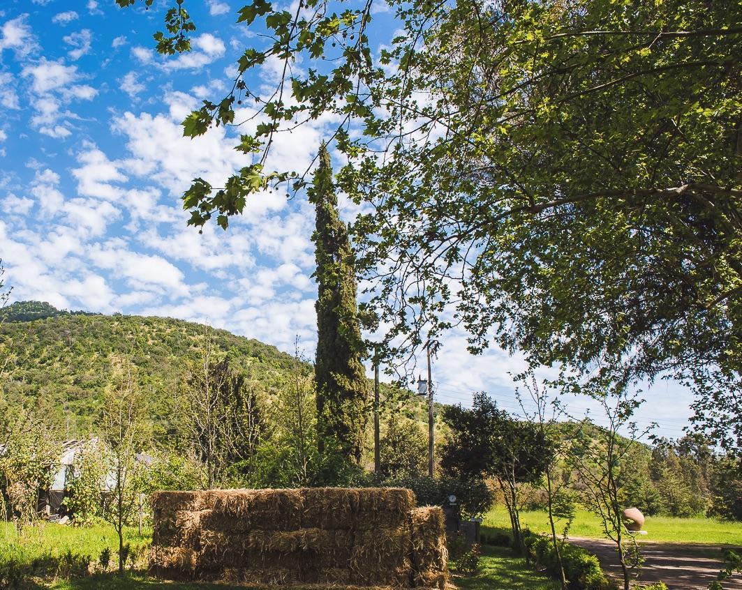 Hacienda Los Lingues Chile Valle De Colchagua Екстер'єр фото